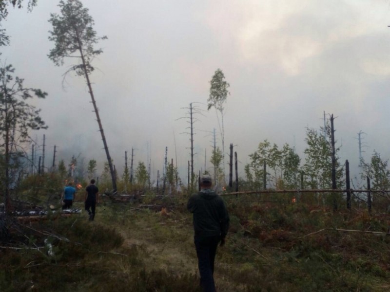 Дым над Владимирской областью и снова горят леса