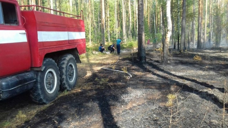 Дым над Владимирской областью и снова горят леса