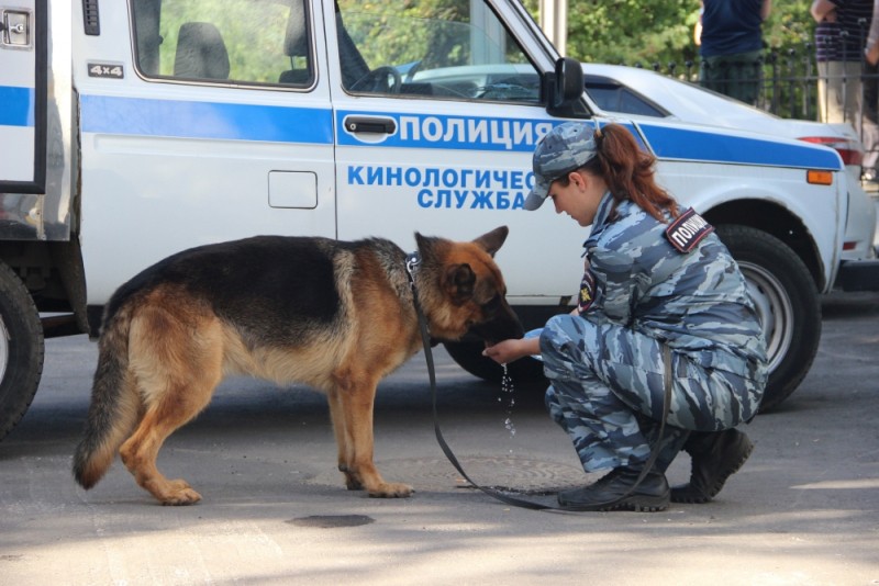 Полицейский пес Ульрих спас мужчину из болота Полицейский пес Ульрих спас мужчину из болота