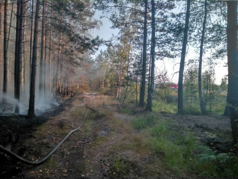 Дым над Владимирской областью и снова горят леса