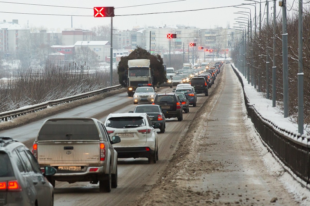 Для губернатора Сипягина срубили живую елочку в лесу