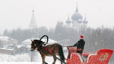 Владимиро-Суздальский музей-заповедник вошел в тройку по посещаемости в стране