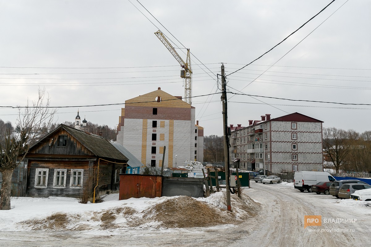 Губернатор Сипягин ужаснулся от проблем в Сновицах и Богослово