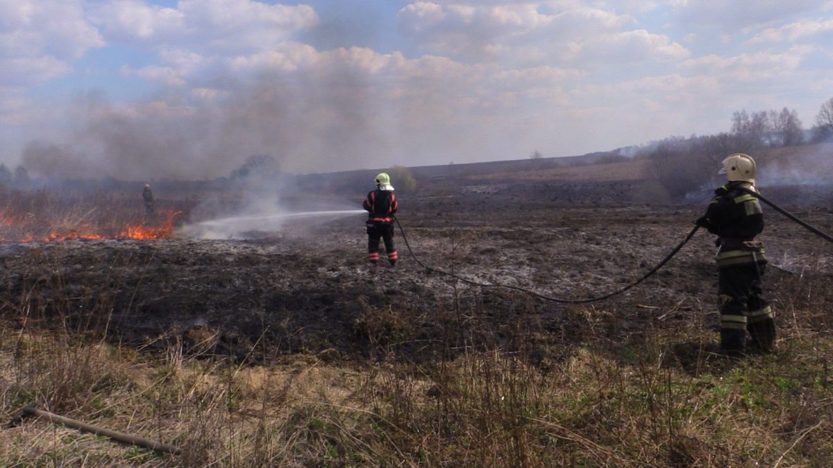 Во Владимирской области установили пожароопасный сезон