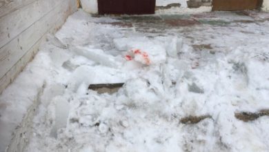 В Александрове заведующую детсадом оштрафовали за сход наледи на мать с ребенком