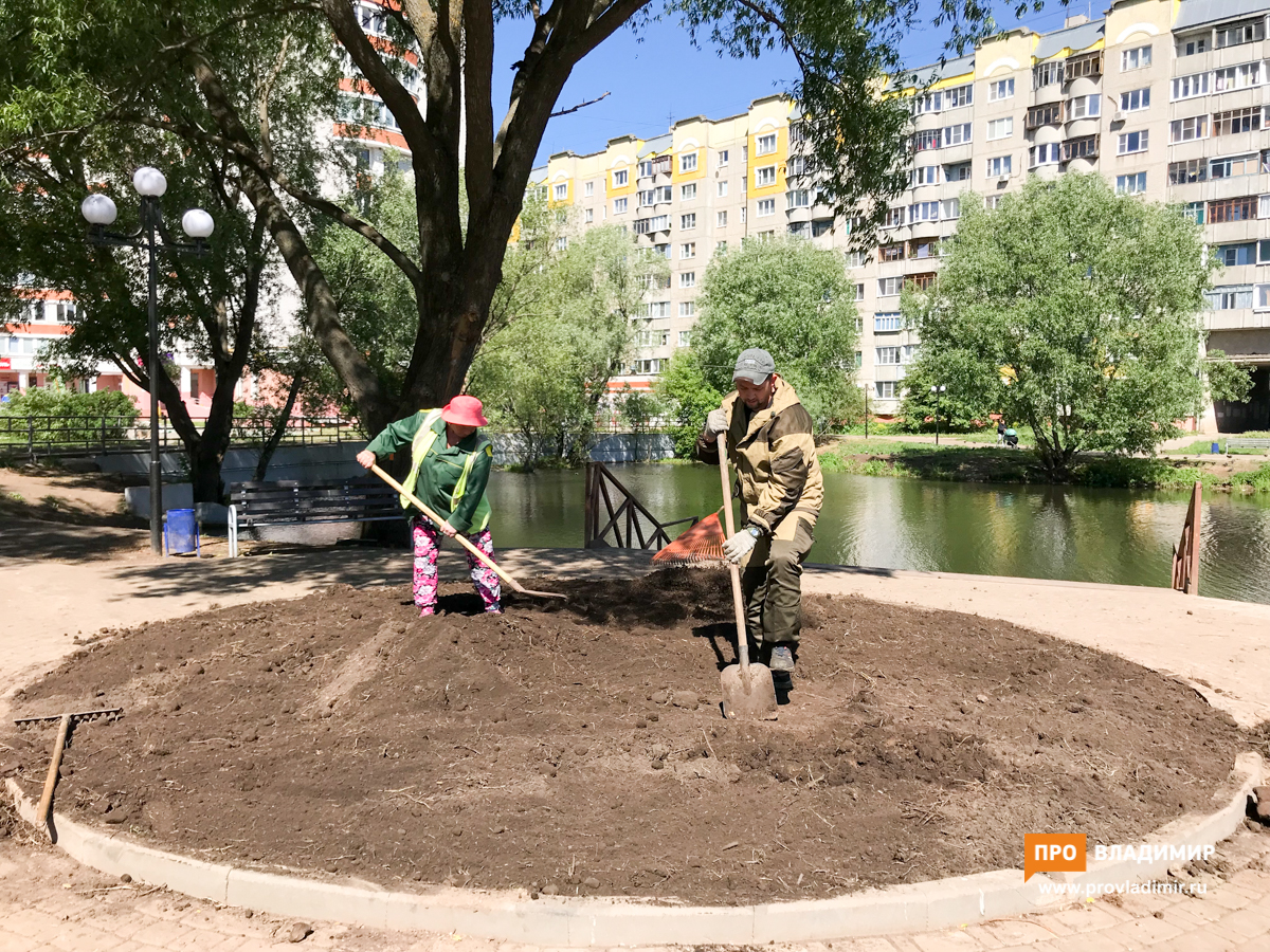 Во Владимире активисты почистили пруд на Добросельской