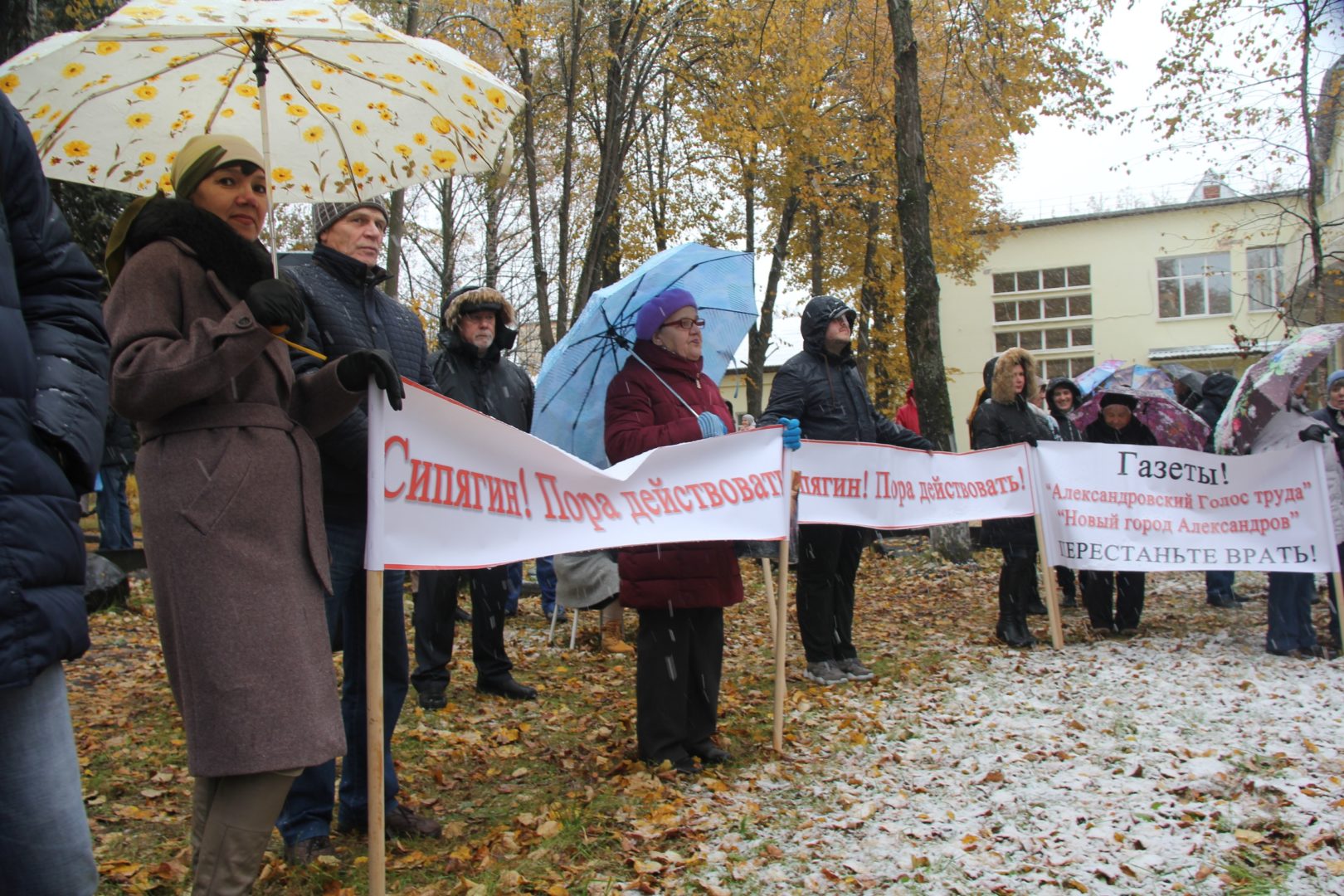 На митинге в Александрове потребовали прекратить «геноцид» населения