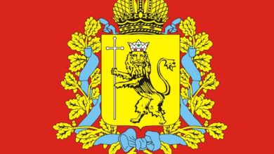За надругательство над флагом и гербом Владимирской области накажут рублем