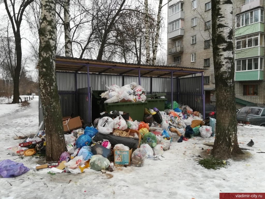 Мусорные войны во Владимире: фотошоп, недостаток контейнеров и взаимные обвинения