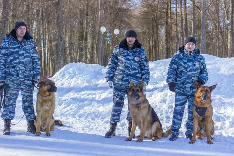 За год во Владимирской области при помощи собак раскрыли 240 преступлений