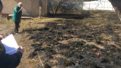 Во Владимире женщину оштрафовали за пал травы