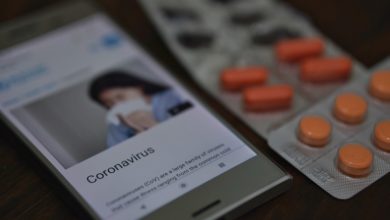 Во Владимирской области число подтвержденных случаев COVID-19 выросло до 280