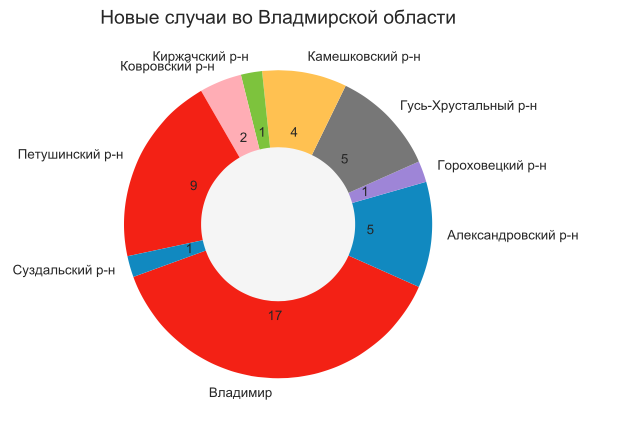 Во Владимирской области коронавирус подтвердился еще у 45 человек