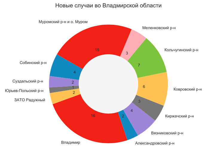 Во Владимирской области 65 новых случаев заражения коронавирусом