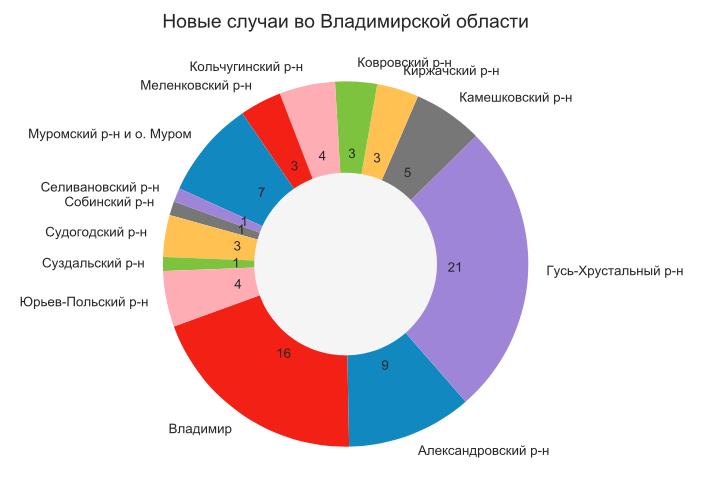 Во Владимирской области еще 81 человек заразился коронавирусом
