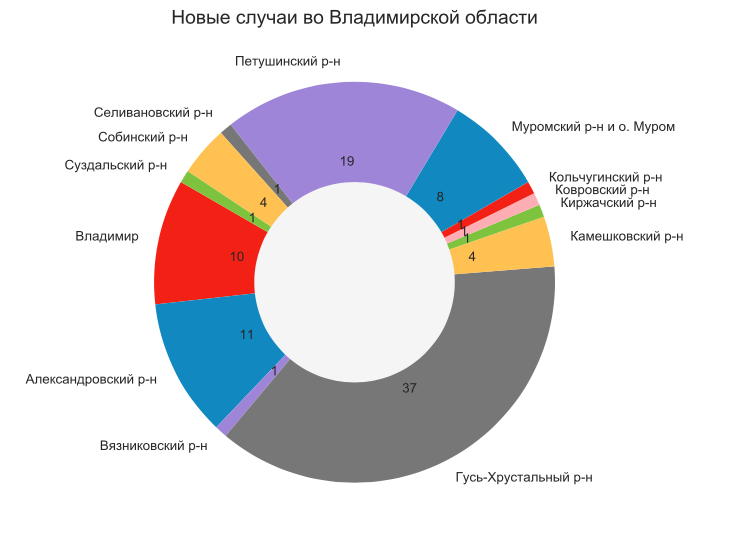 Во Владимирской области рекордное число заболевших: 99 новых случаев заражения коронавирусом