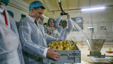 Областной суд отказал владимирскому фермеру-утководу в иске к Сипягину