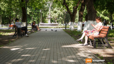 Во Владимирской области коронавирусом заболели еще 29 человек