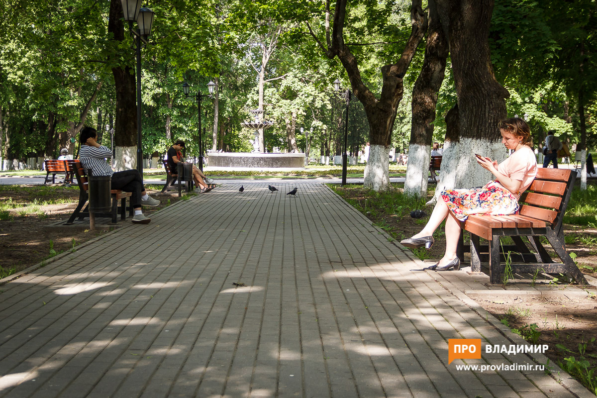 Во Владимирской области коронавирусом заболели еще 29 человек