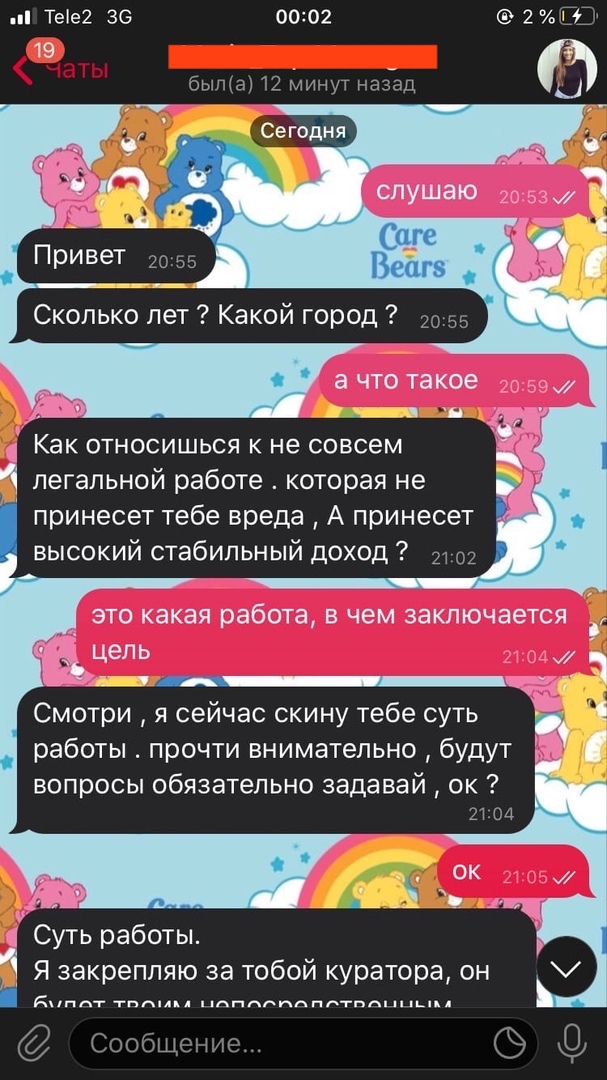 Владимирским подросткам через соцсети предлагают поработать кладменами