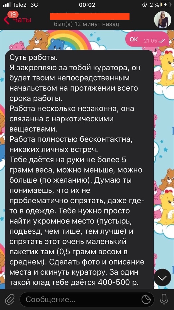 Владимирским подросткам через соцсети предлагают поработать кладменами