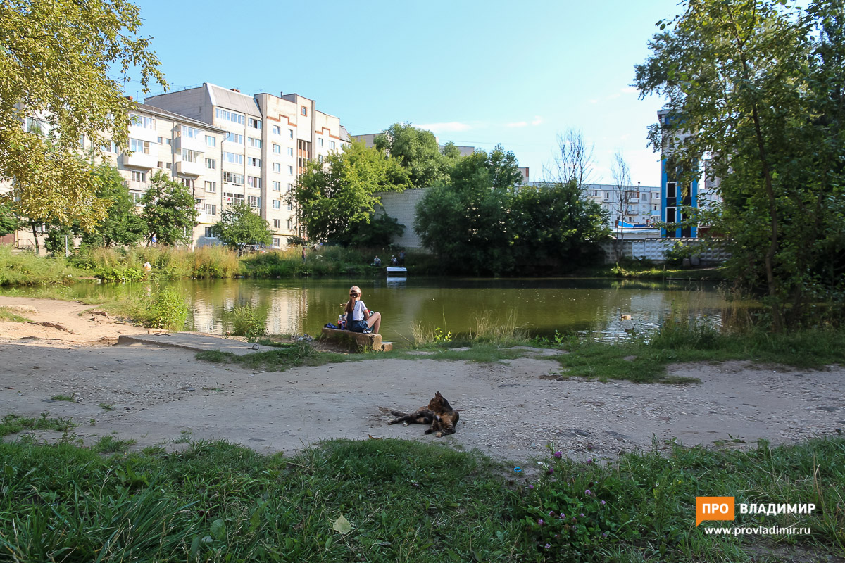 Владимир - город заброшенных прудов. Есть ли шансы на благоустройство?