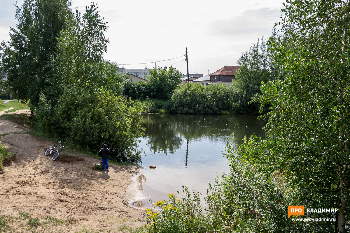 Владимир - город заброшенных прудов. Есть ли шансы на благоустройство?