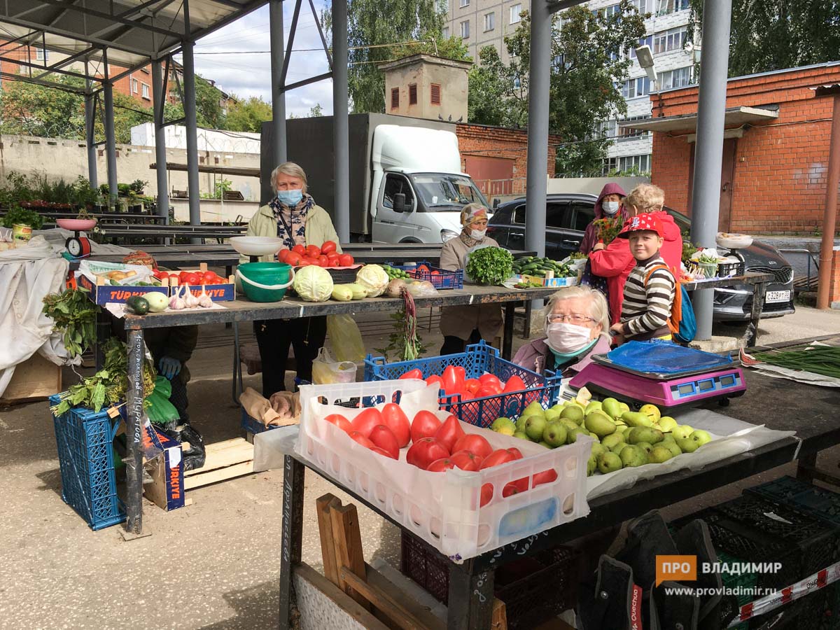 Владимирцам рассказали, чем рынок лучше супермаркета