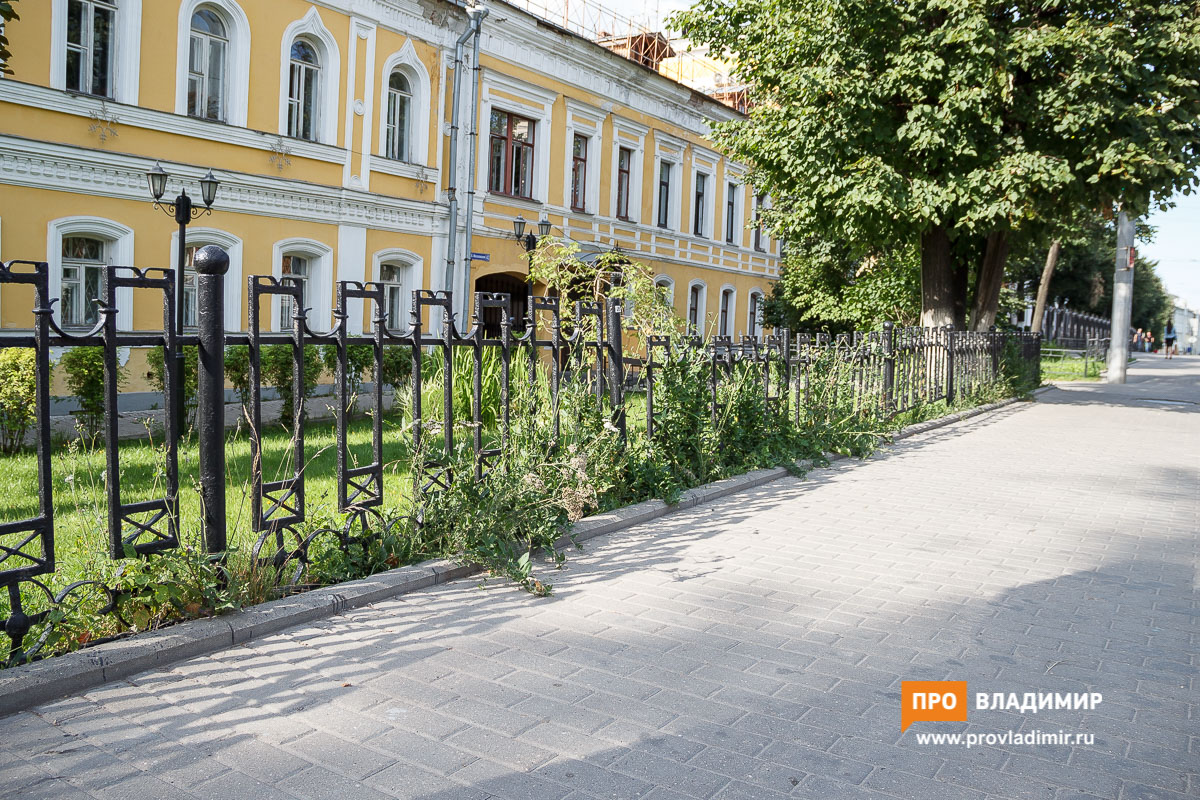 Владимирцы о пешеходных ограждениях: «Скоро превратимся в стадо овечек в загончиках»