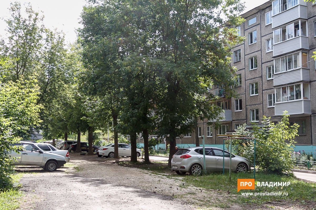 Владимиру для обеспечения парковкой всех автомобилей необходимо 160 гектаров земли