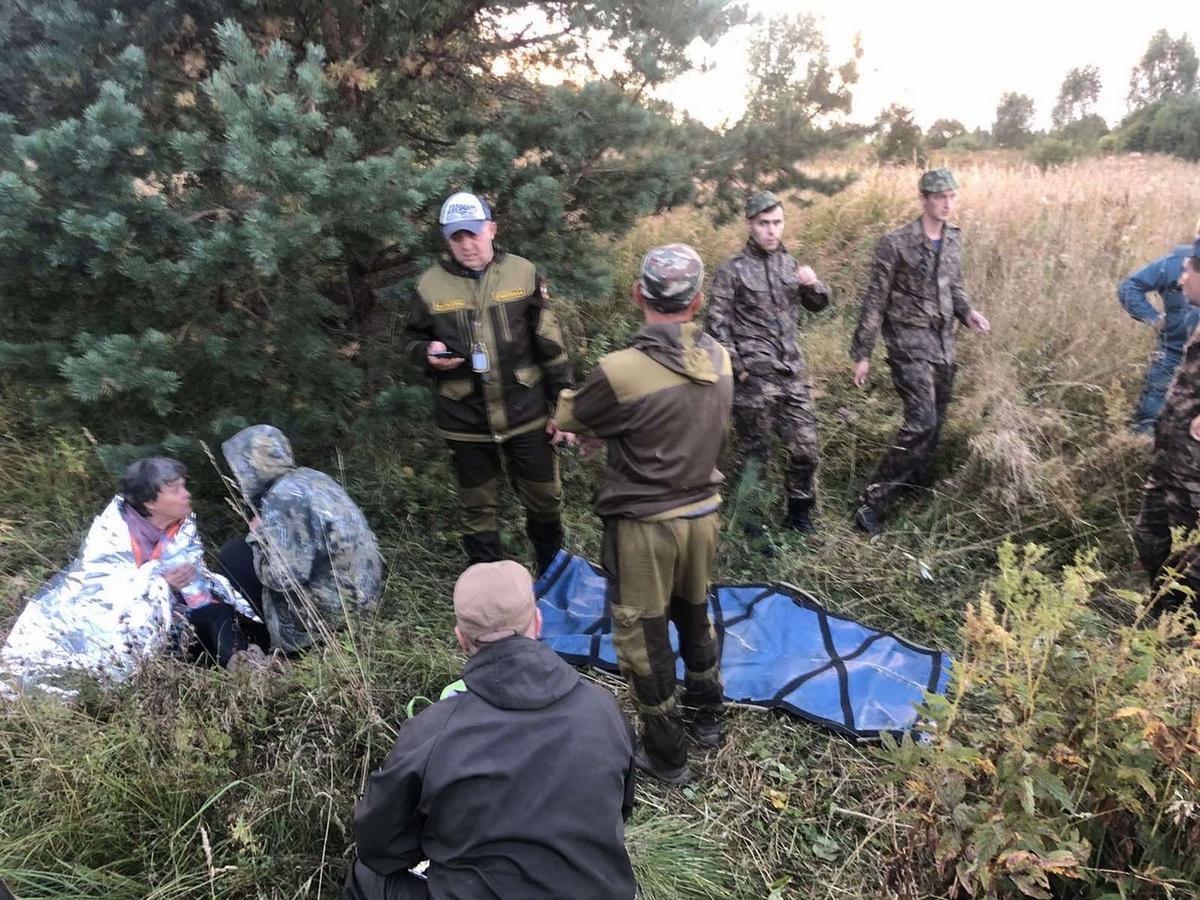 Во Владимирской области после двух дней поисков в лесу нашли пожилую женщину