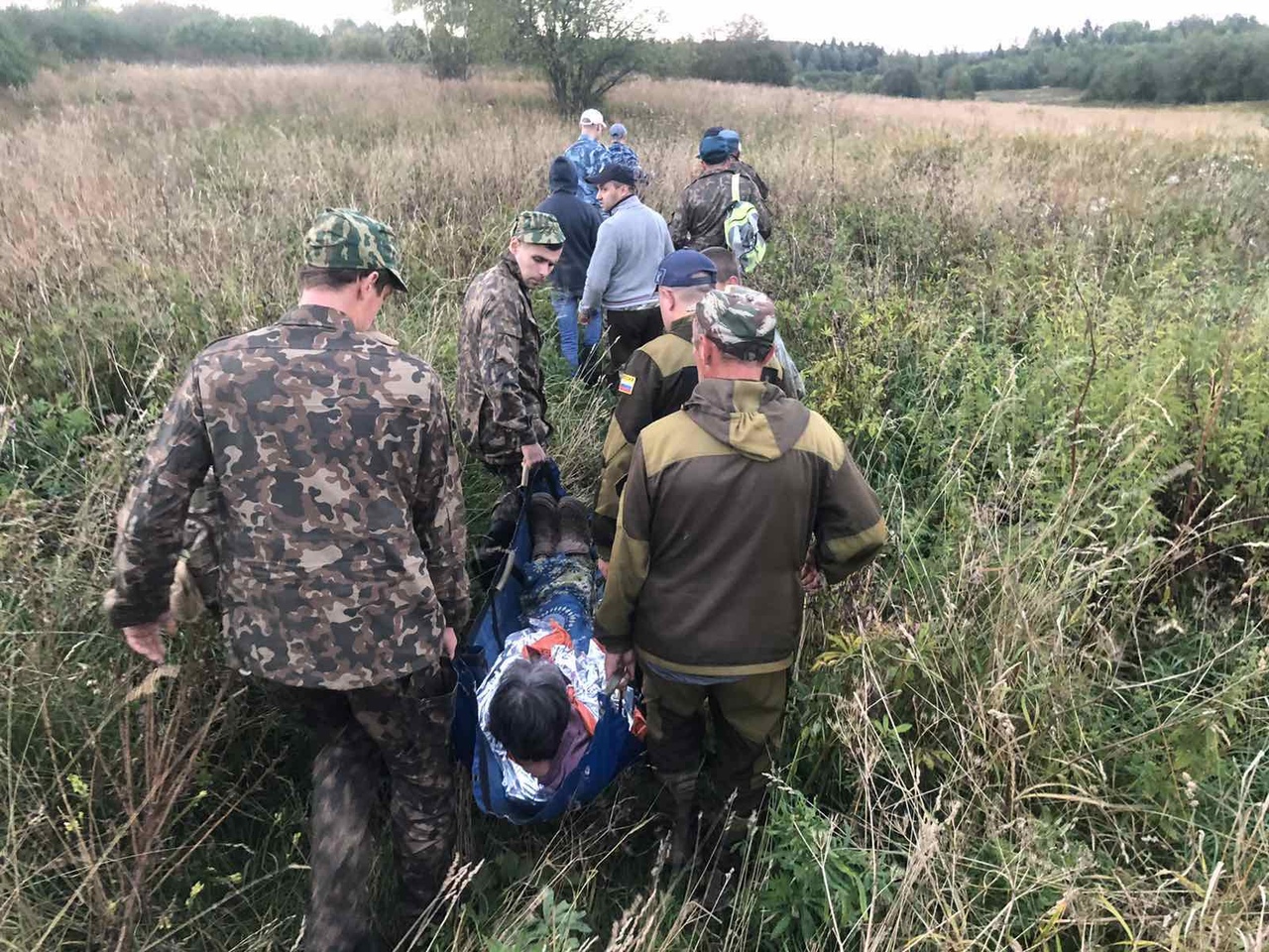 Во Владимирской области после двух дней поисков в лесу нашли пожилую женщину