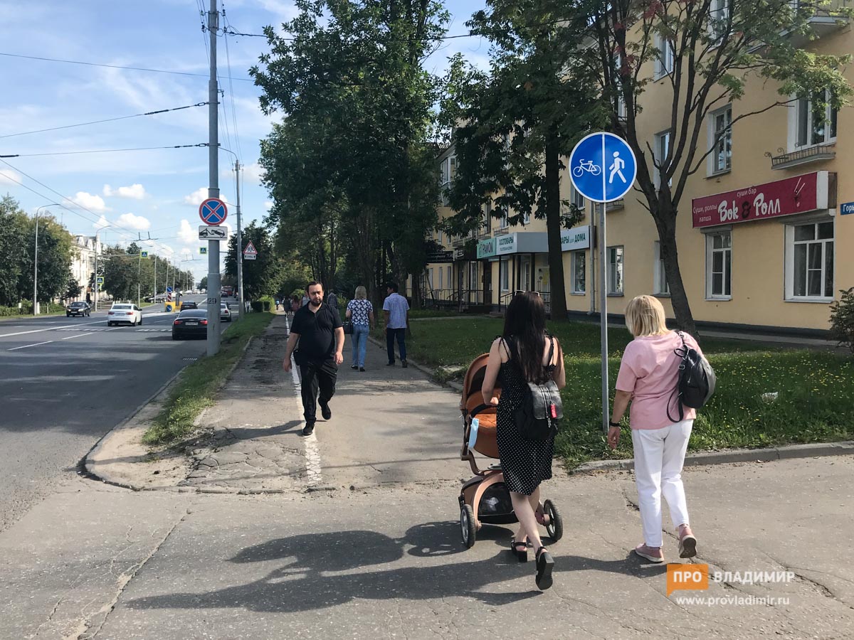 Владимирские власти не знают, кто такие велосипедисты и зачем им велодорожки