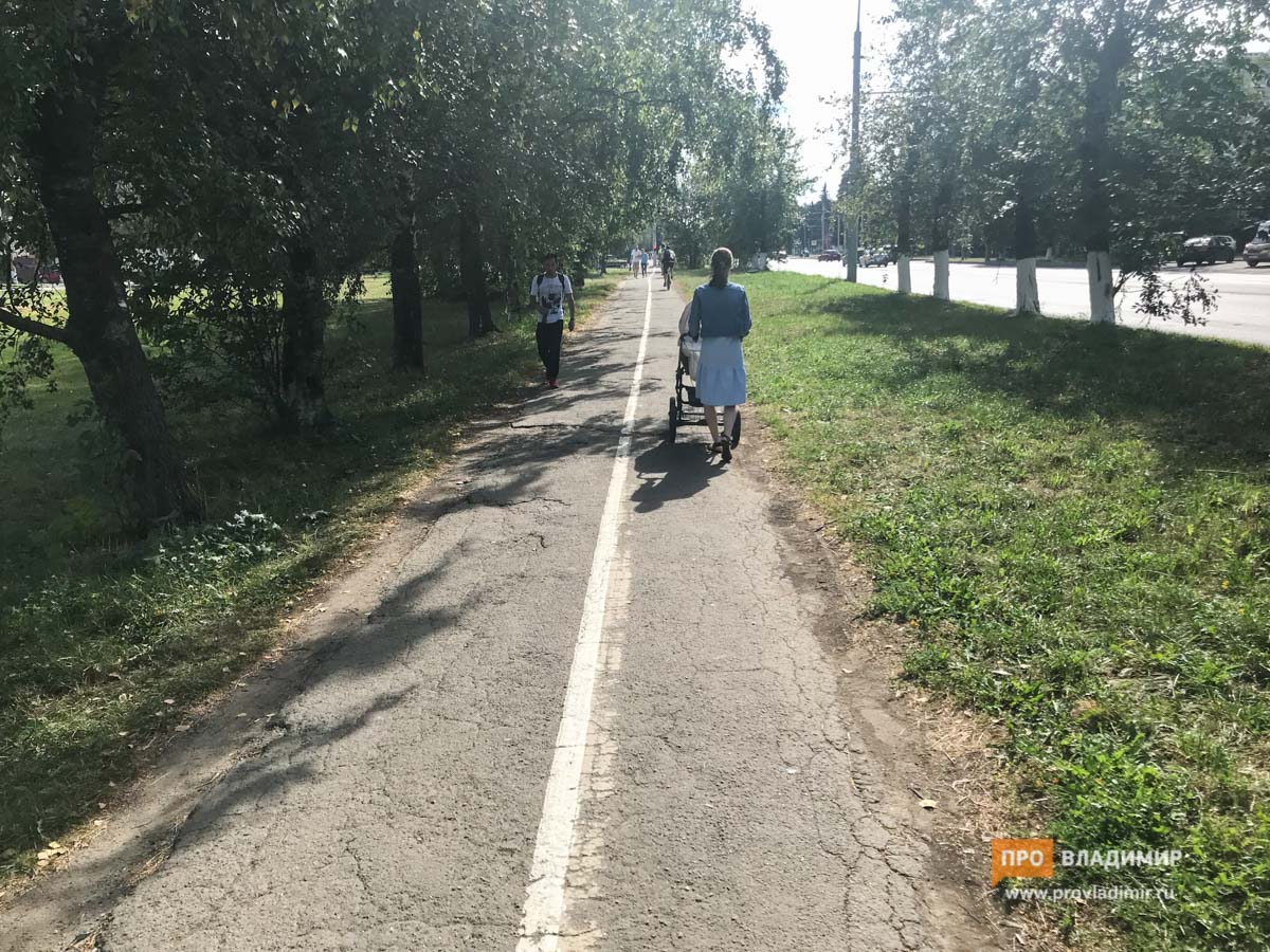 Владимирские власти не знают, кто такие велосипедисты и зачем им велодорожки