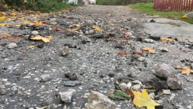 Приключения кучи: как выглядит благоустройство дороги за владимирской филармонией