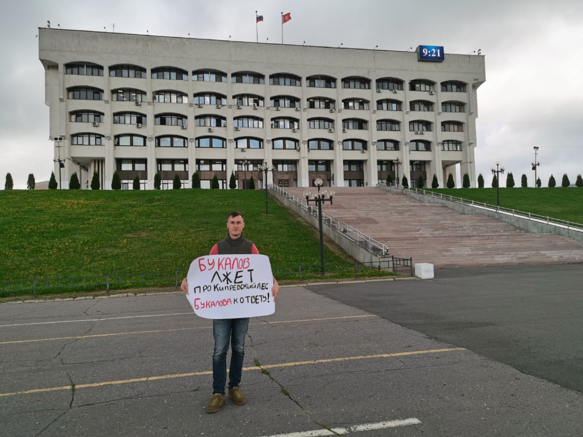 В Киржачском районе экс-глава поселения стала подозреваемой по делу о незаконной вырубке леса