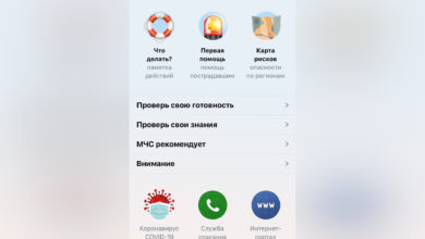 МЧС выпустило мобильное приложение по безопасности