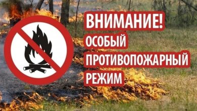 Во Владимирской области вводят особый противопожарный режим