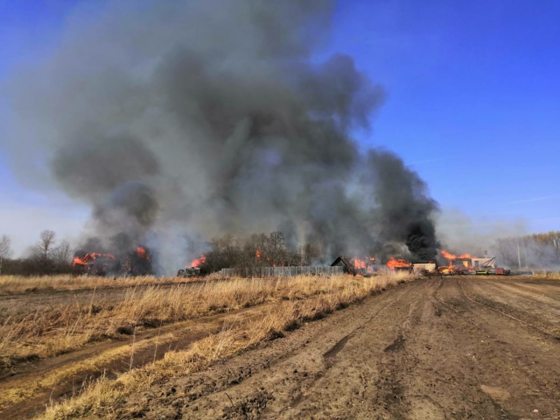 В МЧС назвали причины быстрого распространения пожара в деревне Першково