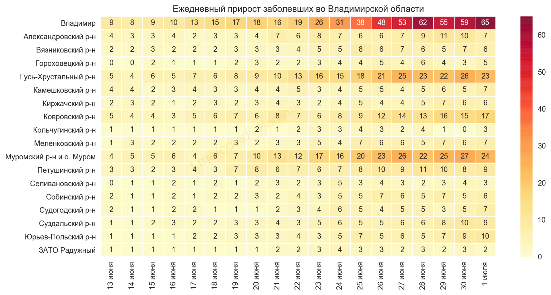 Во Владимирской области обнаружили 216 новых случаев коронавируса