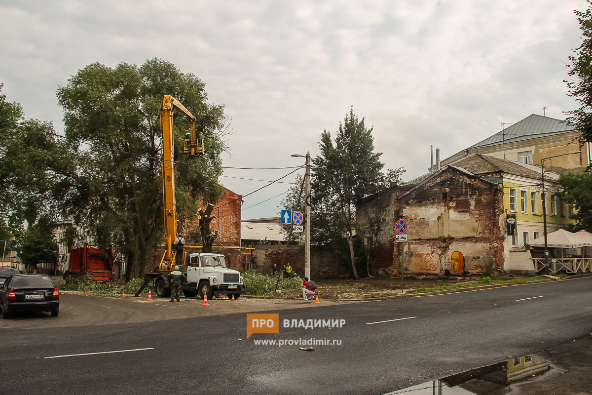 Во Владимире наводить порядок на улице Ильича начали с деревьев