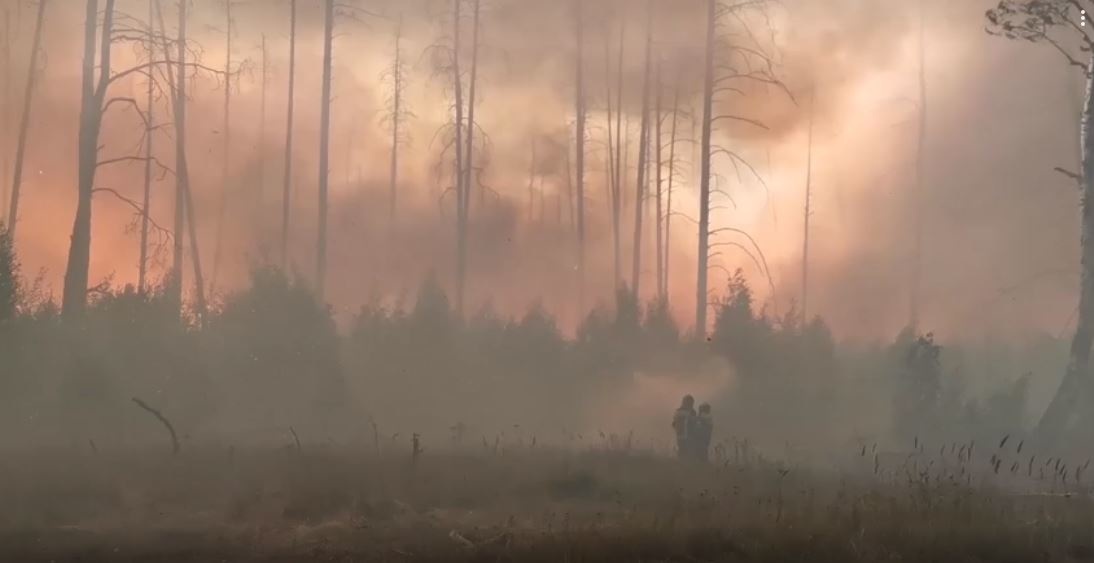 Владимирские пожарные вырвались из огненной западни в Мордовском заповеднике