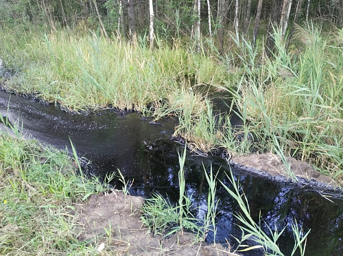 Во Владимирской области из-за ДТП произошел разлив битума