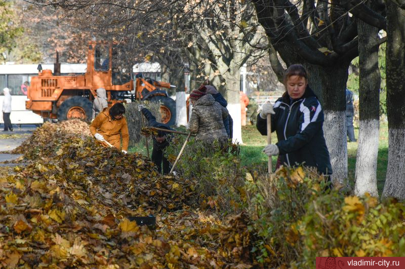 Во Владимире прошел общегородской субботник