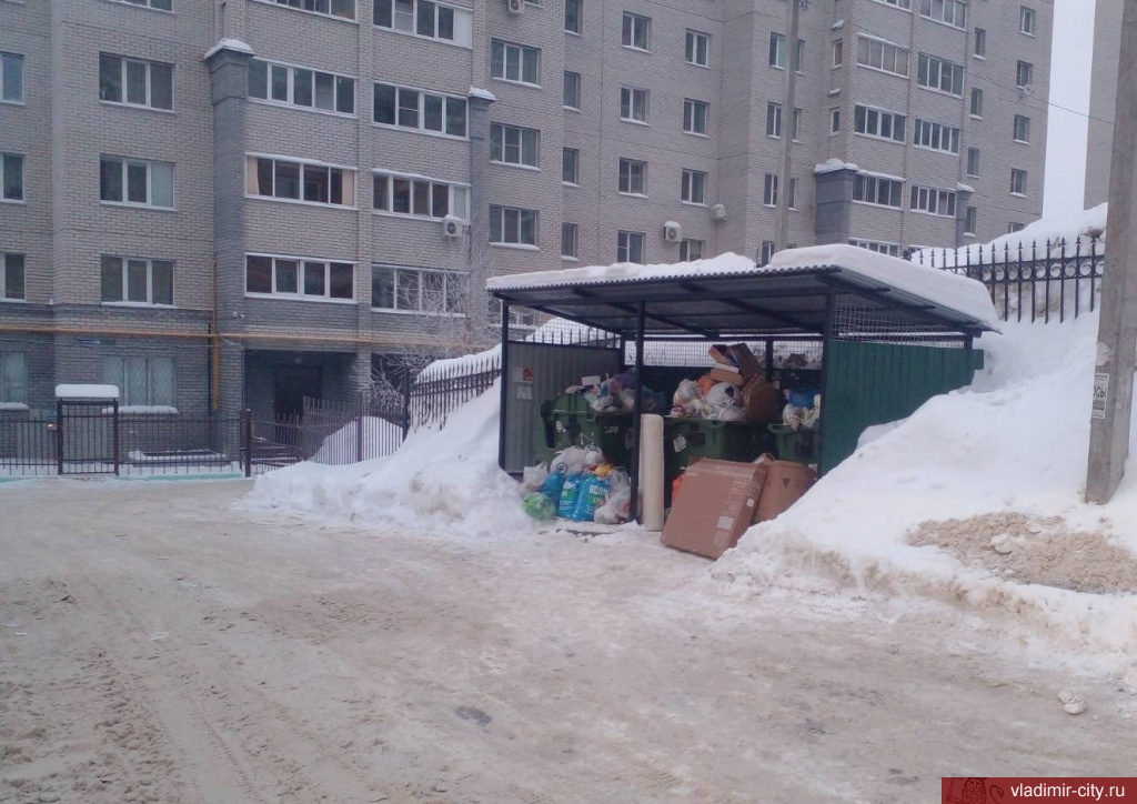 Жители Владимира и мэрия недовольны переполненными мусорными площадками