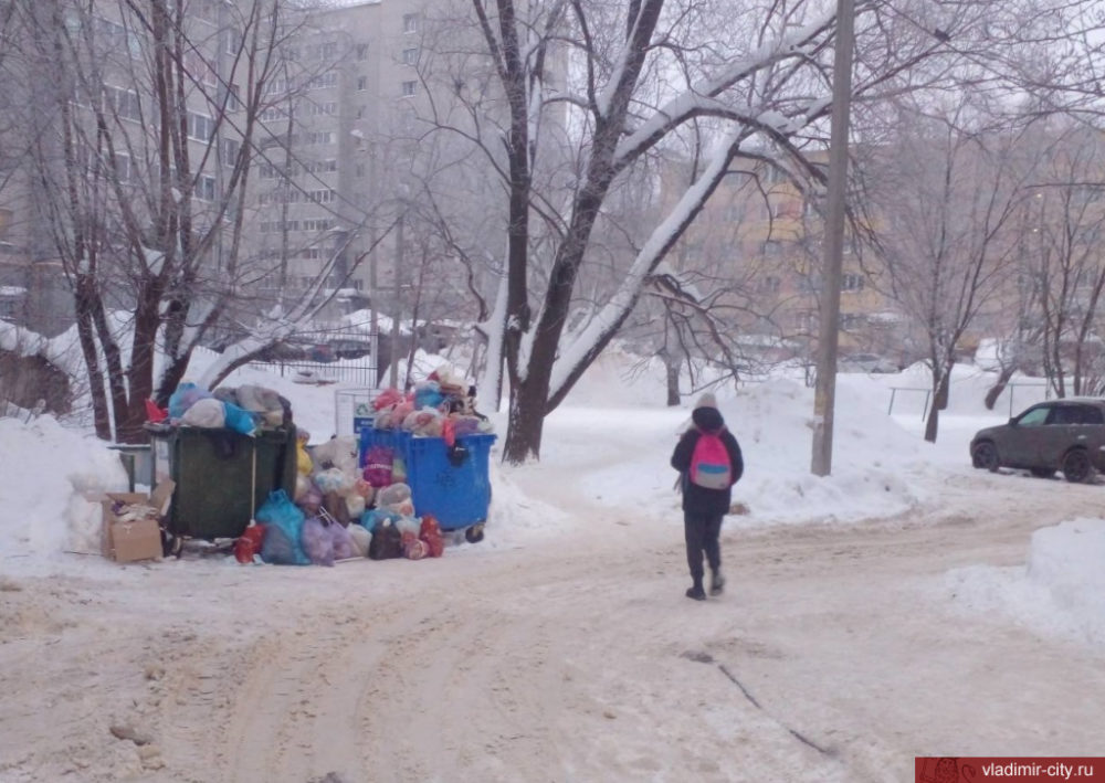 Жители Владимира и мэрия недовольны переполненными мусорными площадками