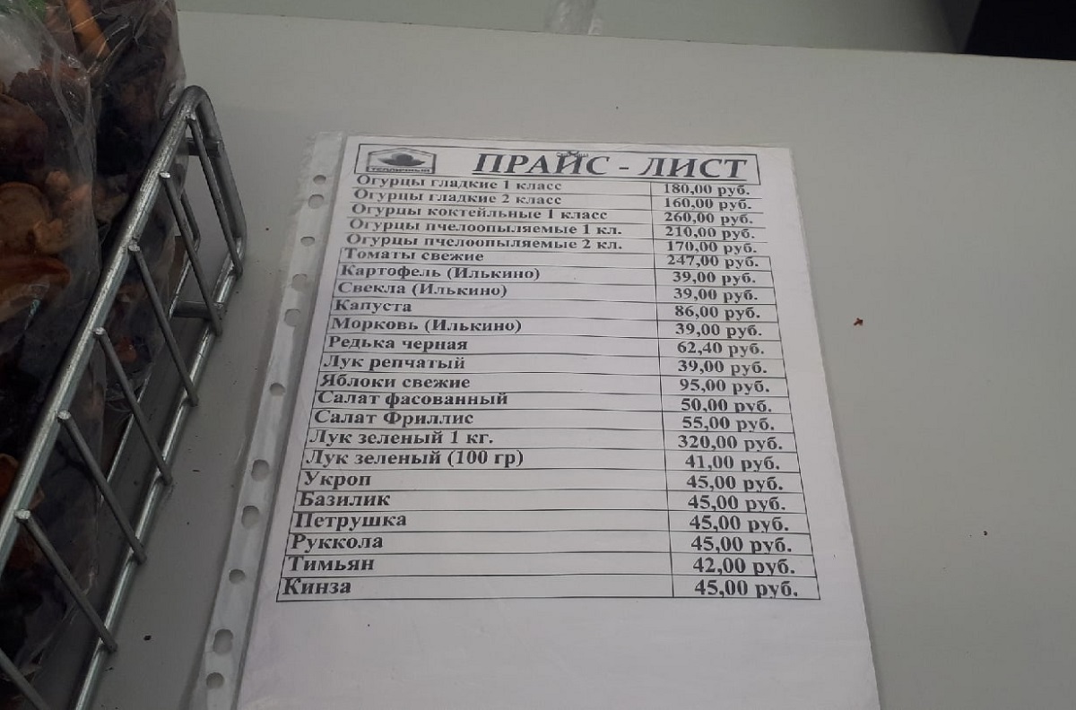 Во Владимире «Тепличный» собирает первый урожай огурцов