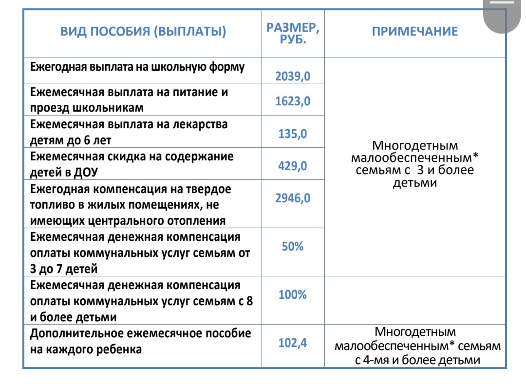 Омбудсмен Людмила Романова проведет мониторинг льгот для многодетных семей