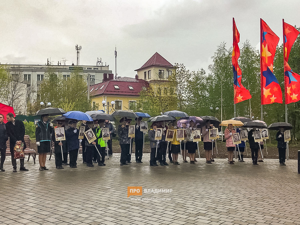 В Патриотическом сквере посадили 26 берез в память о героях-владимирцах