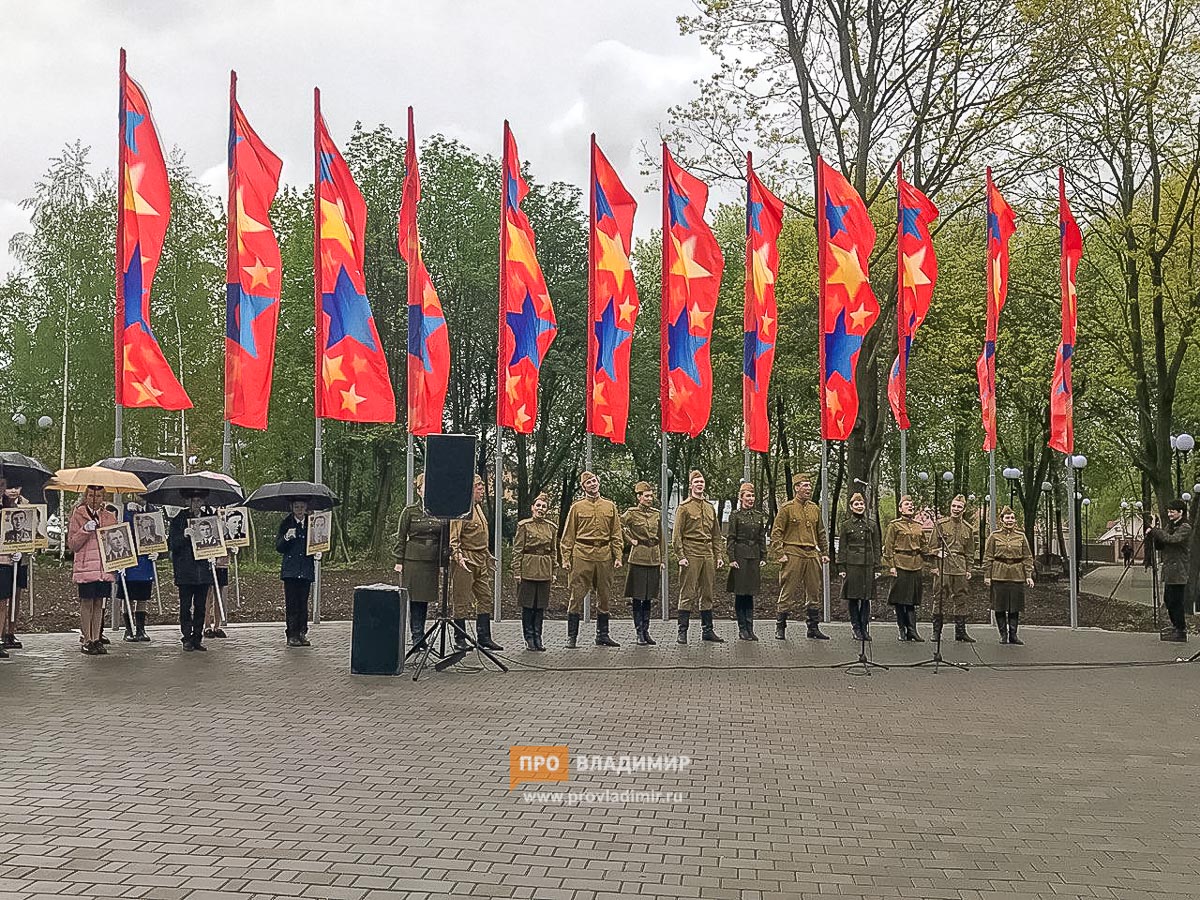 В Патриотическом сквере посадили 26 берез в память о героях-владимирцах